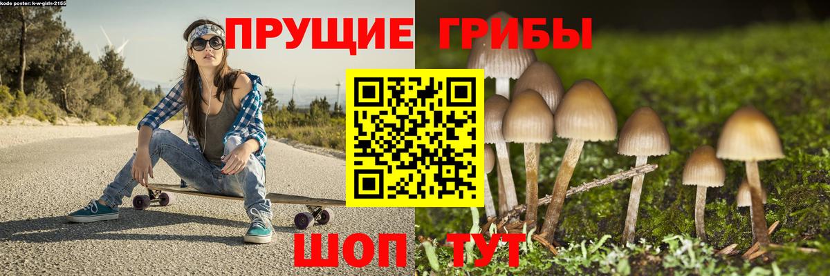 Галлюциногенные грибы мухоморы Петрозаводск