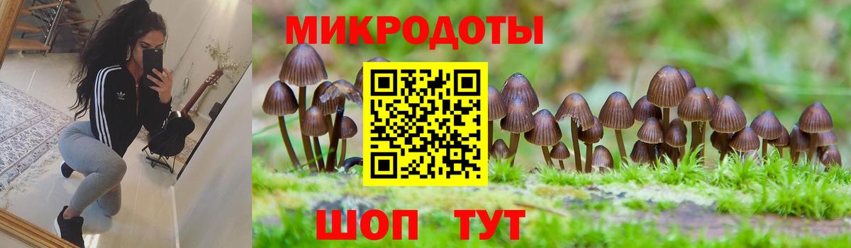 Галлюциногенные грибы MAGIC MUSHROOMS  Псилоцибиновые грибы Cubensis  Вход с VPN  Петрозаводск 