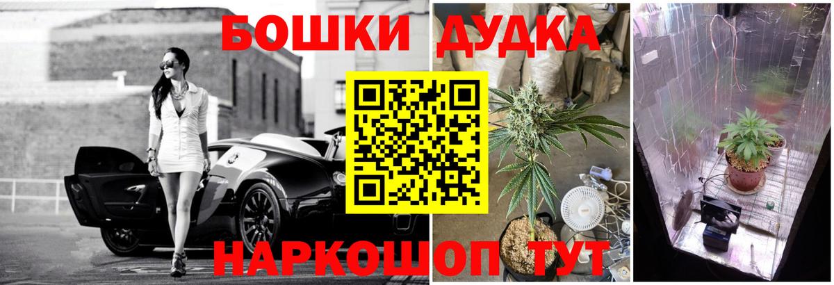 Бошки Шишки Bruce Banner Петрозаводск
